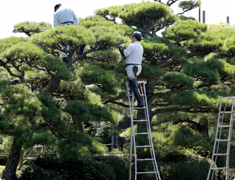 東近江市の造園・外構工事・留守宅管理なら花久造園へ 留守宅の管理